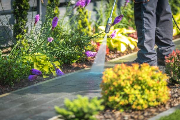 Weatherby Lake, MO Pressure Washing Services Company