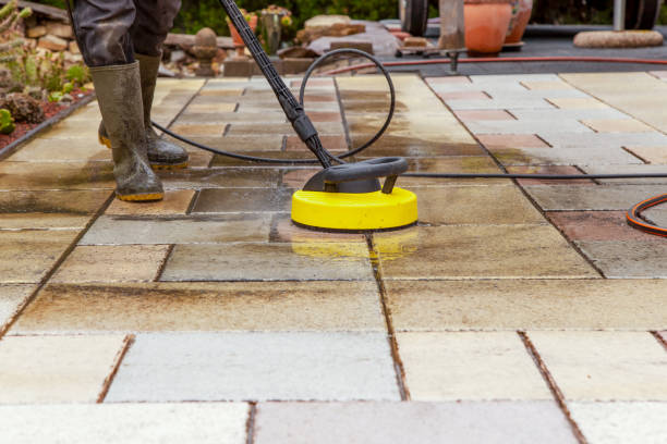 Animal Enclosure Cleaning in Weatherby Lake, MO
