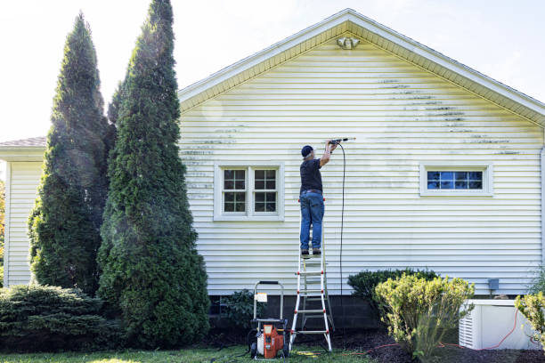 Best Roof Washing  in Weatherby Lake, MO